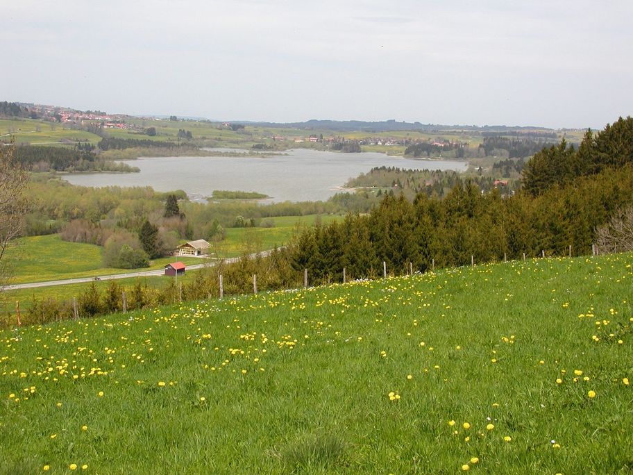 Blick von Vorderreute auf den Grüntense