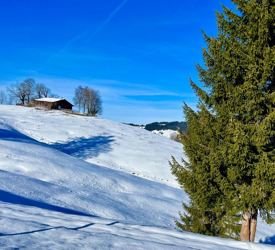 Berghütte auf Winterwanderweg