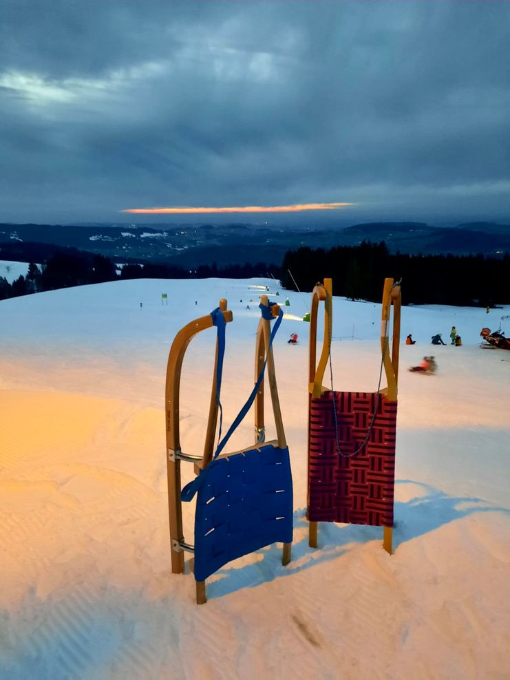 Schlitten im Schnee