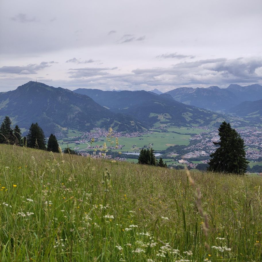 Immenstadt - Alpwirtschaft erleben