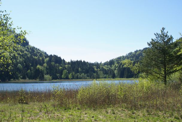 Schwanseerundweg