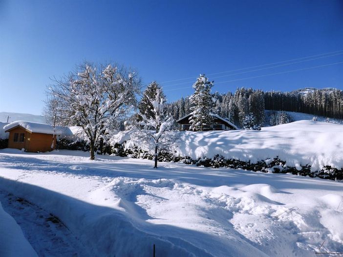 Blick aus Wohnung 1
