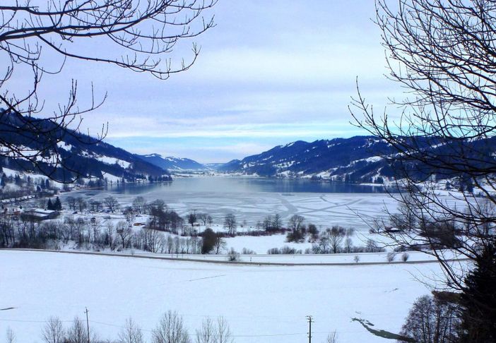 Grosse Alpsee Winter