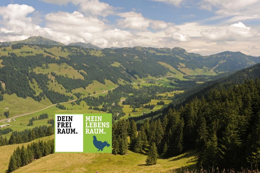 Alles fließt in Sibratsgfäll - Der Erdrutsch am Feuerstätterkopf