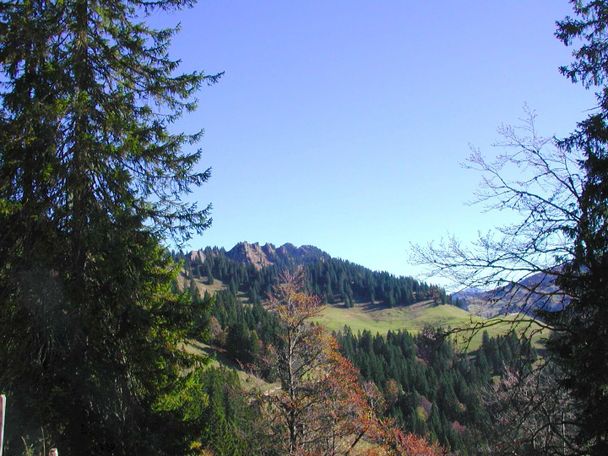Tour zum Siplinger in Balderschwang Panoramaaus...