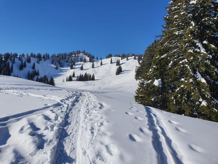Winterbild