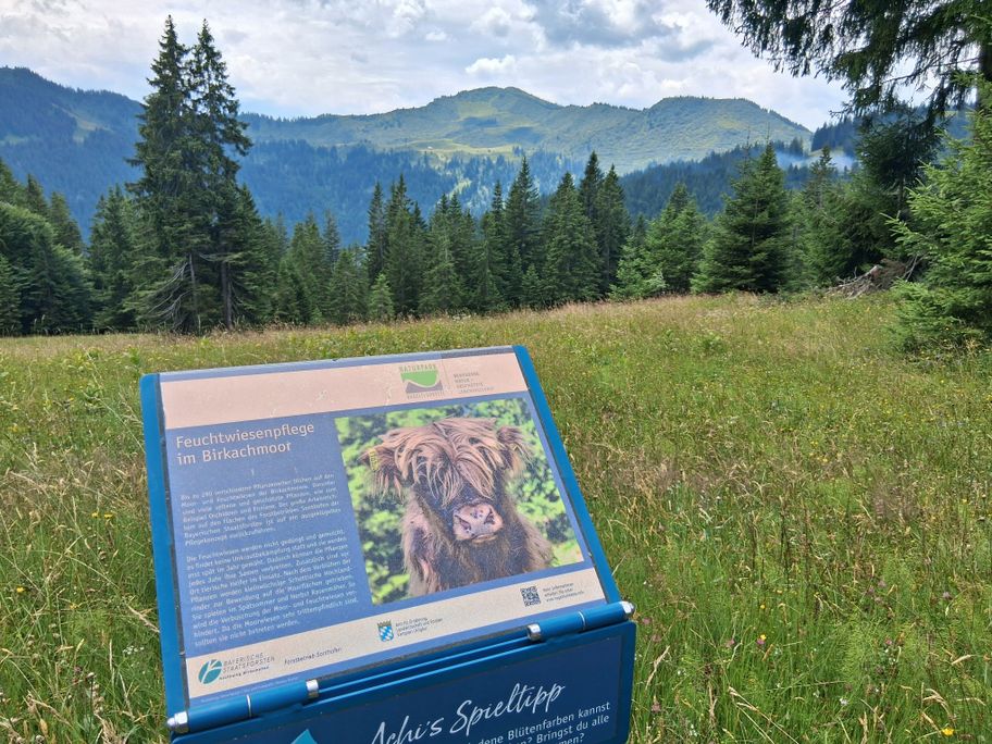 Gunzesried: Birkachmoor