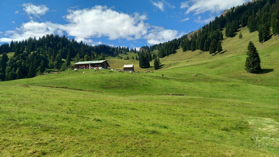 Sennalpe Oberbalderschwang Blick von unten