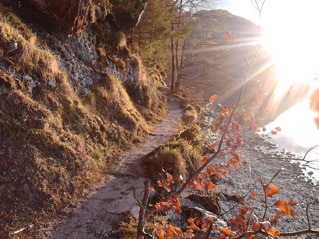 Weissenseesüd, gegenlicht