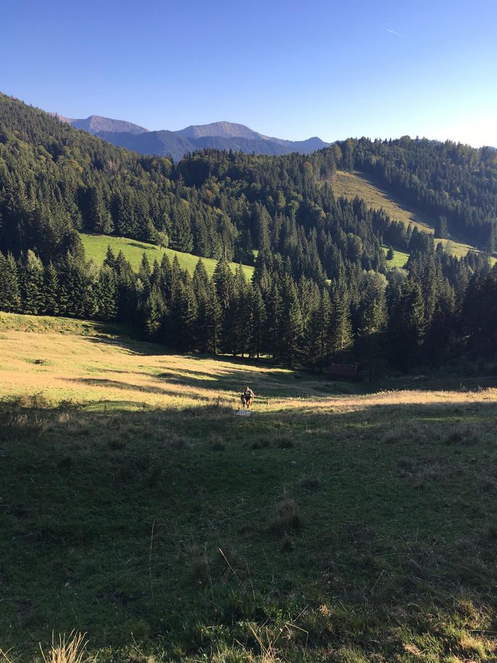 Unsere Natur