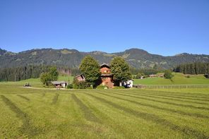 "Heubarzit" bei uns