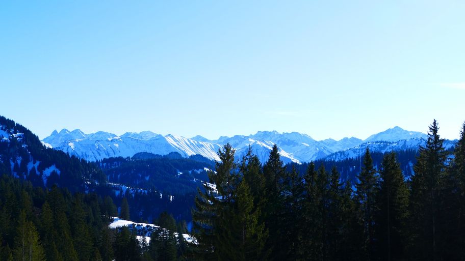 Von Balderschwang zur Oberen Mittelalpe (1.407m)