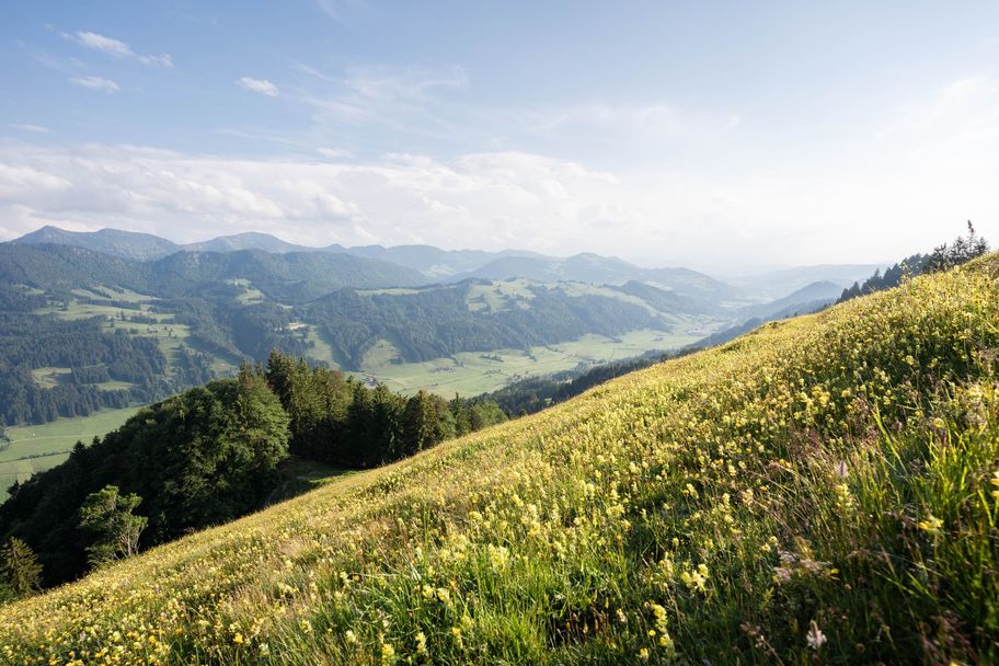 Frühlingswerwachen über dem Konstanzer-Tal