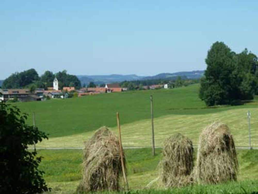 Blick auf Ellhofen
