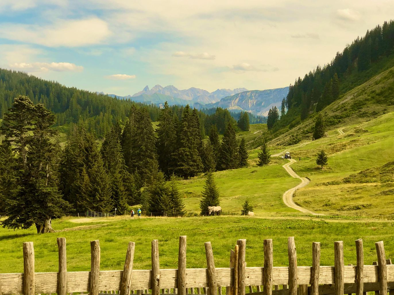 Blick von der Burglhütte auf die Allgäuer Alpen