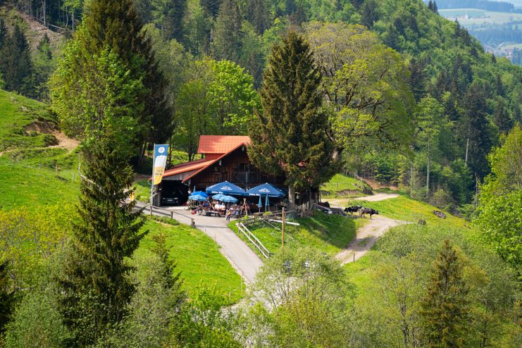 Wanderung auf den Spuren der Alpwirtschaft