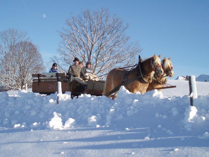 Kutschfahrt mit Helena und Henry