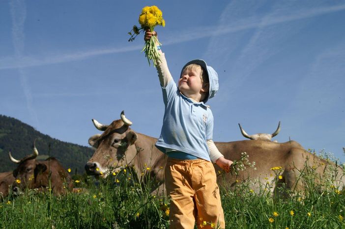 Erleben Sie Natur und Freiheit  mit Ihrer Familie