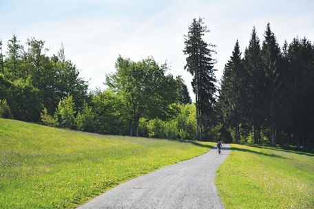 Marc Brandner - Allgäuer Glasregion Adelegg