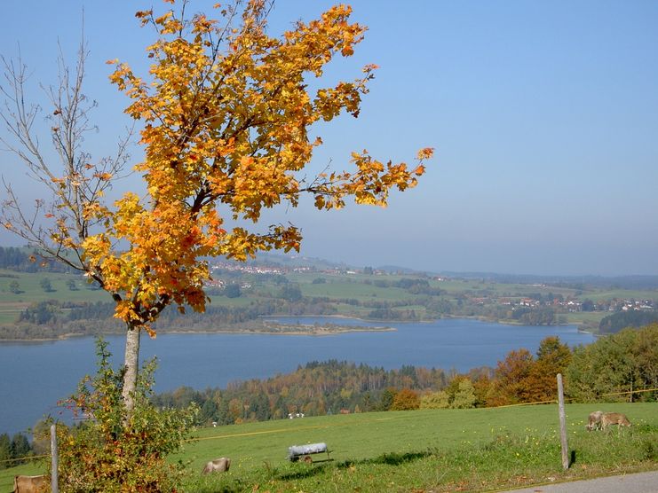 Rundweg Vorderreute