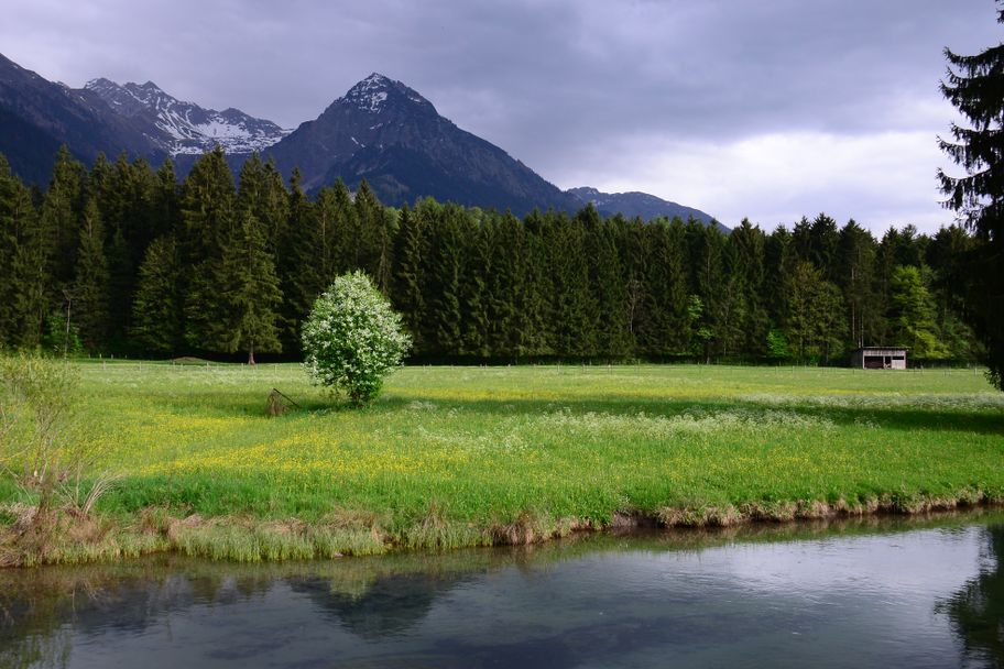 Am Grundbach in Fischen