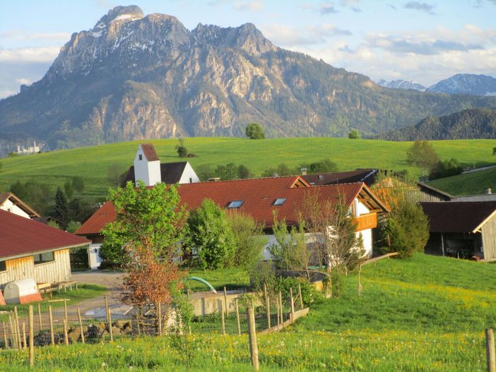 Bauernhof mit Schloß Neuschwanstein im Hintergrund