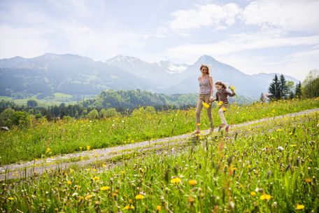 Idyllische Wanderwege in den Hörnerdörfern