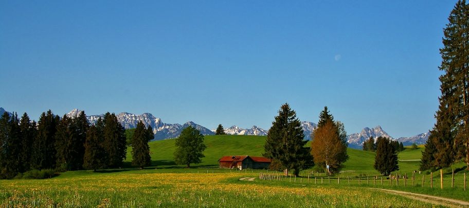 Fluren von Rieden a. F.