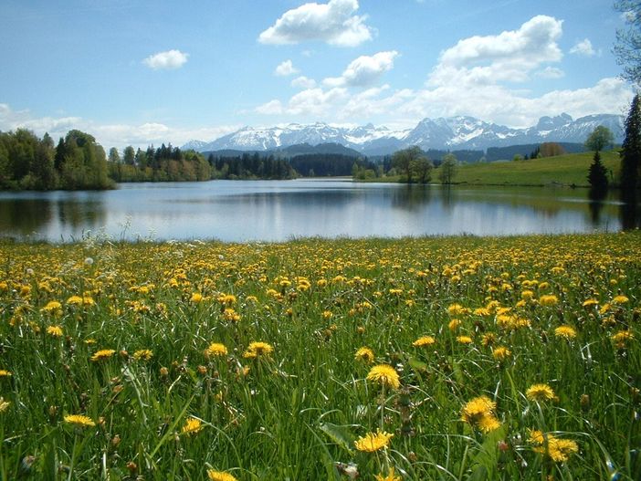 Oberstaufen Frühling