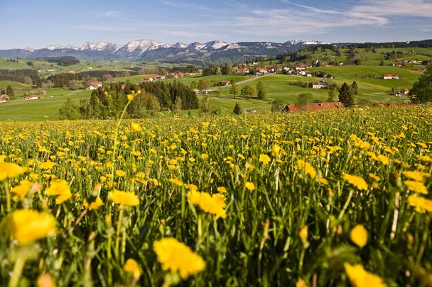Oberreute_Ortsteil Langenried_Nagelfluhkette