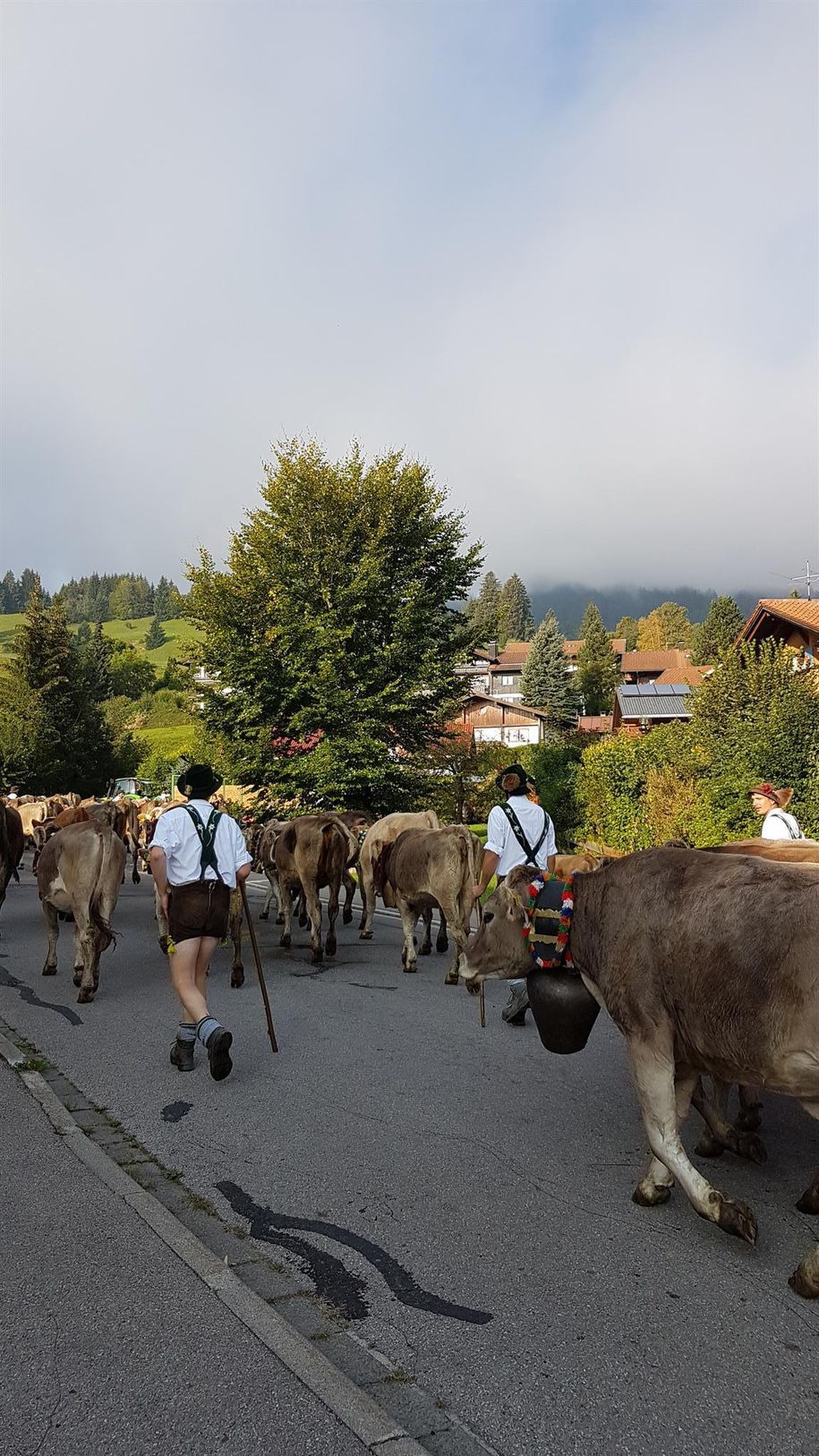 Viehscheid