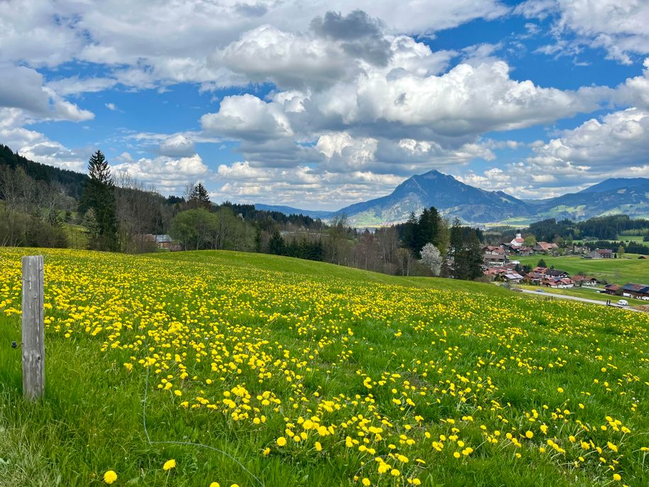 Blick nach Ofterschwang