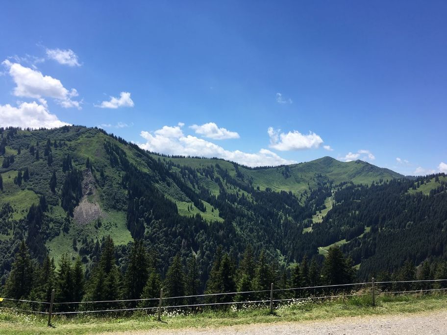 Riedberger Horn im Blick