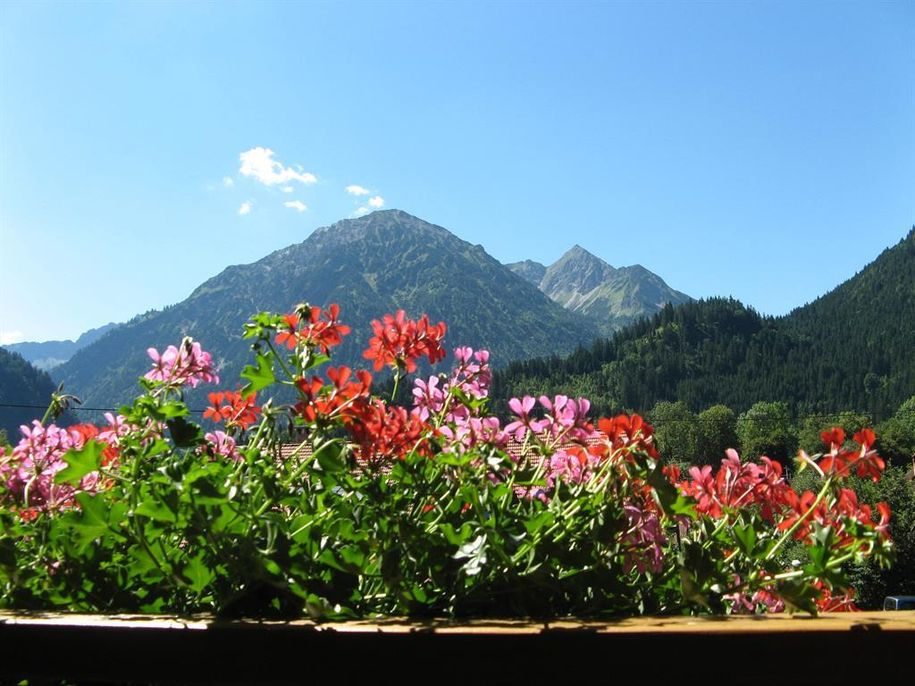 Blick vom Balkon