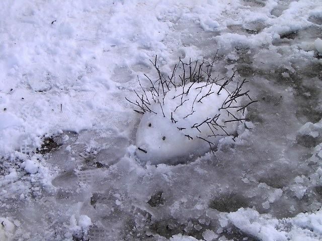 Landart-Schneeigel