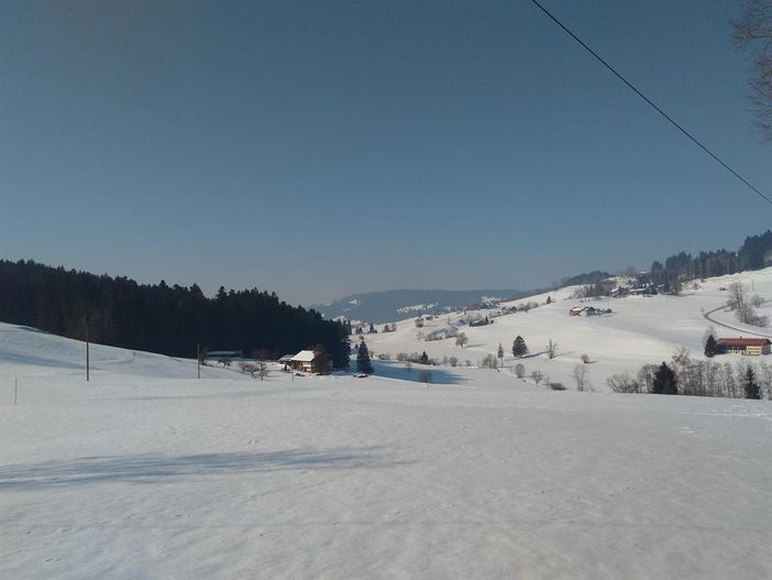Ausblick im Winter