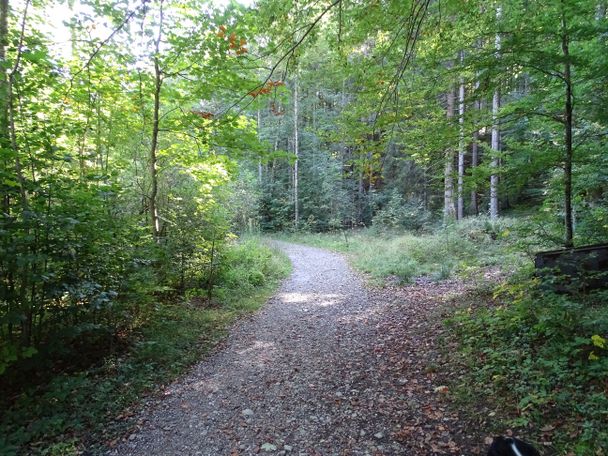 Wanderweg vom Alatsee Richtung Bad Faulenbach