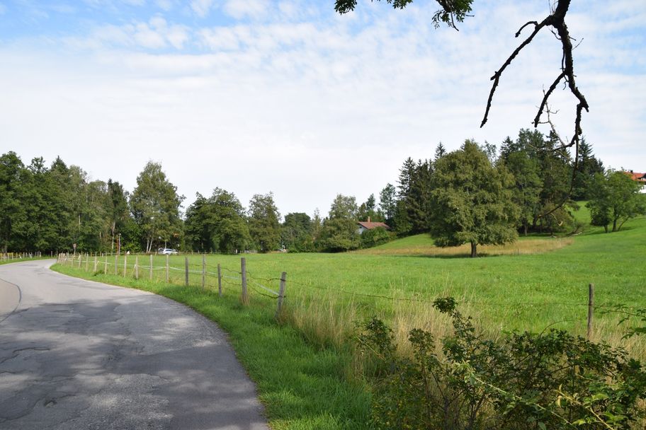 Wörther Straße Richtung Wörth