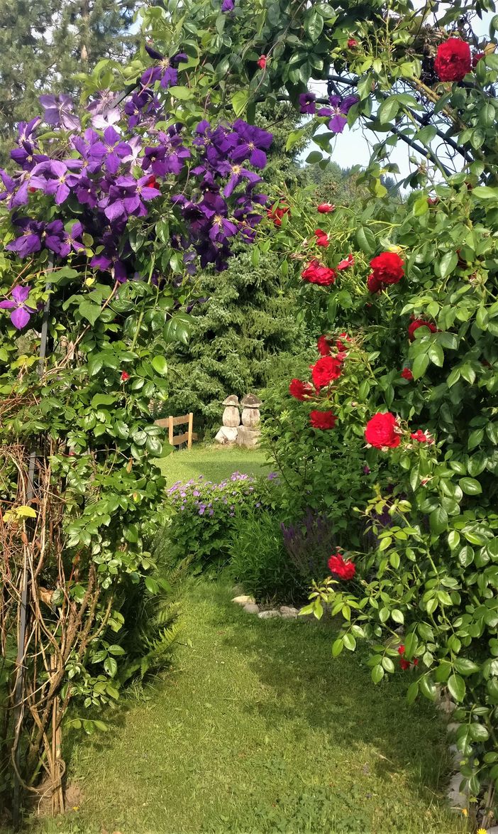 2019-07-05 08.51.31