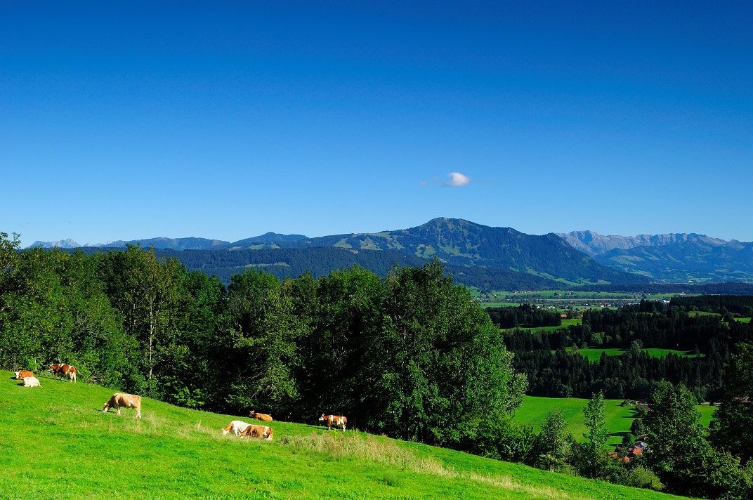 Stoffelbergrundweg - Allgäu