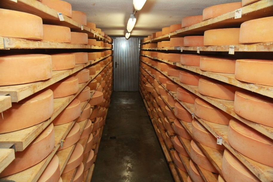 Eigene Hofkäserei mit Verkauf (Käse, Milch, Eier)