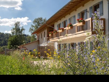 habensiesichschonfreinewohnungentschieden