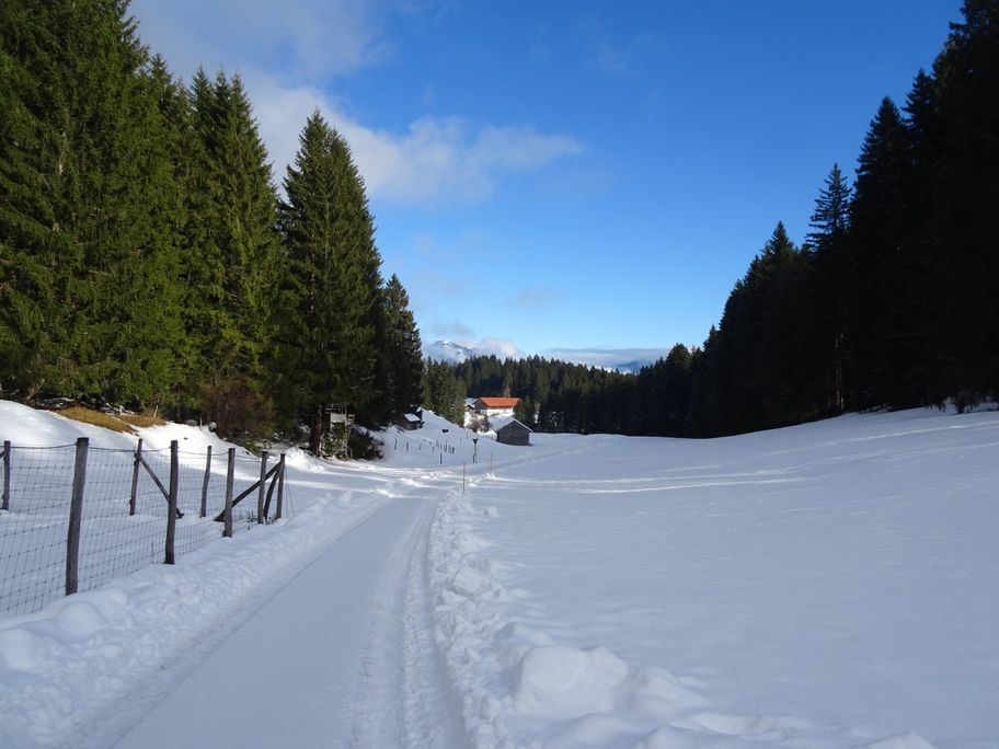 Naturpark Nagelfluhkette