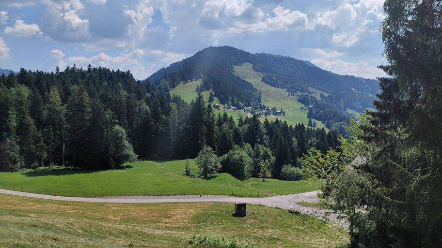 Blick auf das Renkknie