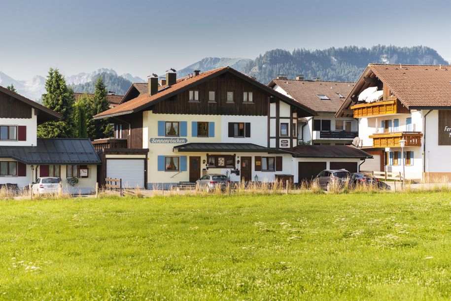 Sonnenröschen