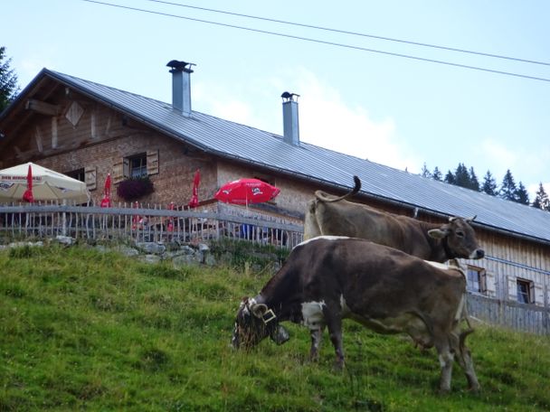 Alpe Ornach