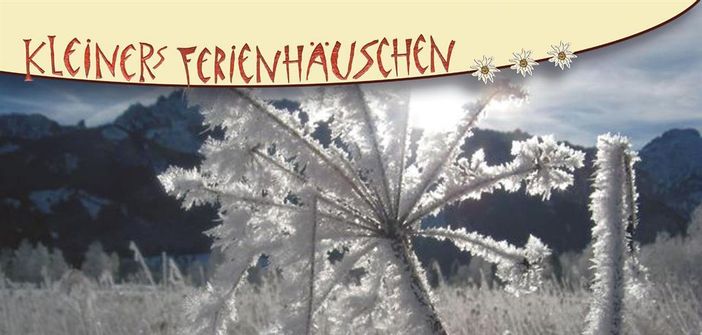 kleiner-titel-2