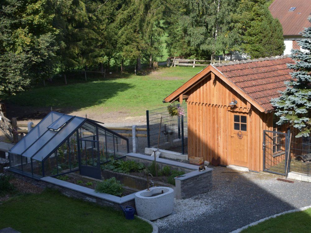 bilder kamera neu 398