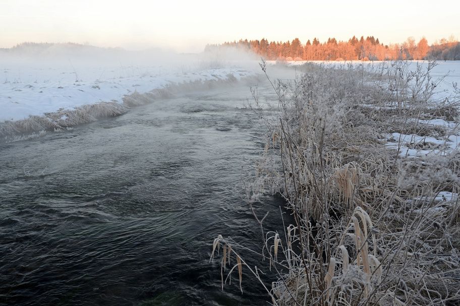 Die Ach im Naturschutzgebiet Bodenmöser