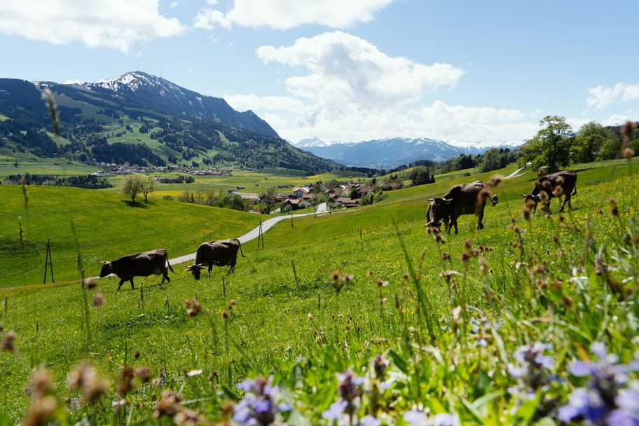 Bier-Genusswanderweg 2: Über den Pestfriedhof auf den Rottachberg